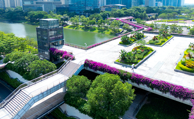 佛山物業(yè)城市項(xiàng)目時花采購及配套服務(wù)